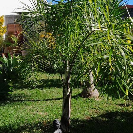 Villa Kaz A Nine Saint Pierre Exterior foto